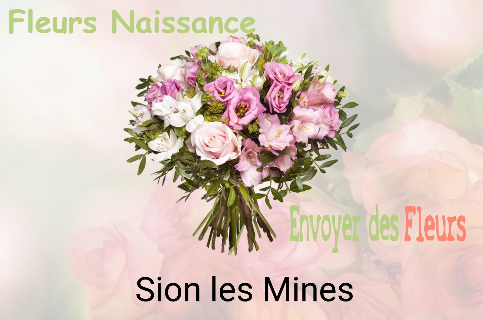Bouquet de fleurs de naissance livré à Sion-les-Mines